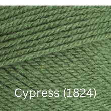 Load image into Gallery viewer, Stylecraft  Special DK