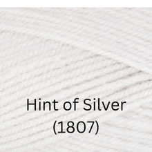 Load image into Gallery viewer, Stylecraft  Special DK