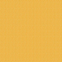 Load image into Gallery viewer, Indigo Cheddar II Collection