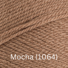 Load image into Gallery viewer, Stylecraft  Special DK