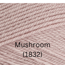 Load image into Gallery viewer, Stylecraft  Special DK