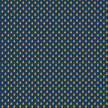 Load image into Gallery viewer, Indigo Cheddar II Collection
