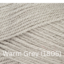 Load image into Gallery viewer, Stylecraft  Special DK