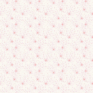 Memories Unfold Collection
