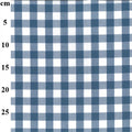 Blue and white gingham checkered fabric pattern shown flat, with a vertical cm measurement scale on the left side.