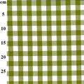 A close-up of a green and white gingham checkered fabric pattern with a vertical measurement scale on the left side showing centimeter markings from 5 to 25.