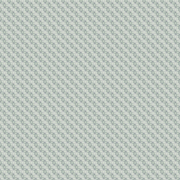 Wandering Eye - Cinder Block Neutral - by Kathy Doughty and Figo Fabrics