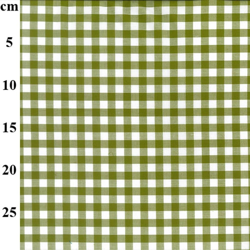 Green and white checkered grid with measurements in centimeters