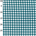 Teal and white checkered grid with measurements in centimeters