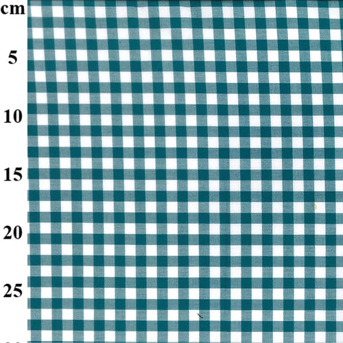 Teal and white checkered grid with measurements in centimeters