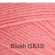 Load image into Gallery viewer, Stylecraft  Special DK

