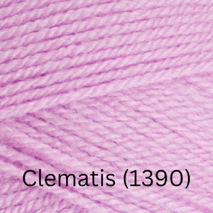 Stylecraft  Special DK