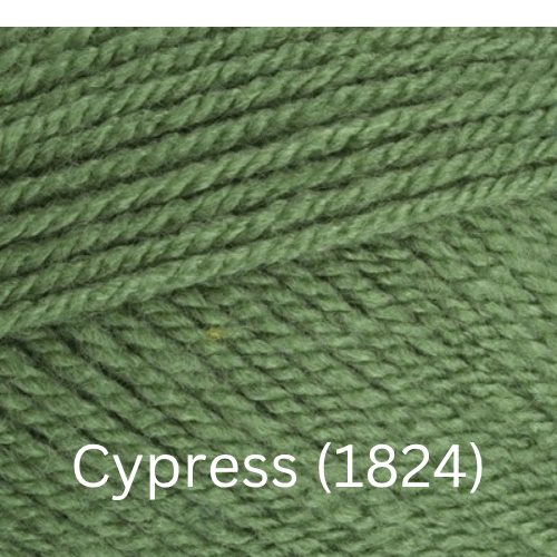 Stylecraft  Special DK