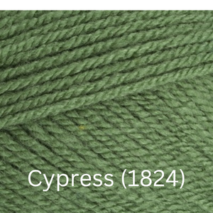 Stylecraft  Special DK