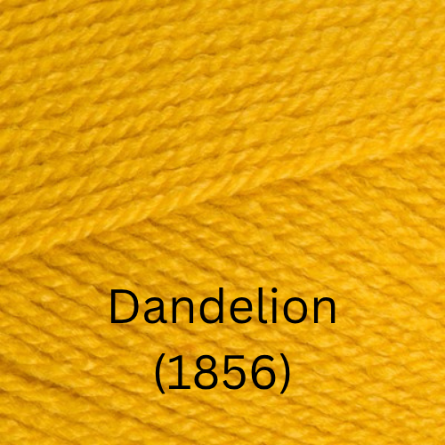Stylecraft  Special DK