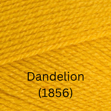 Load image into Gallery viewer, Stylecraft  Special DK
