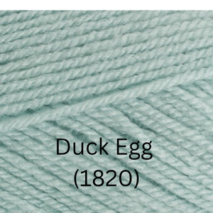 Stylecraft  Special DK