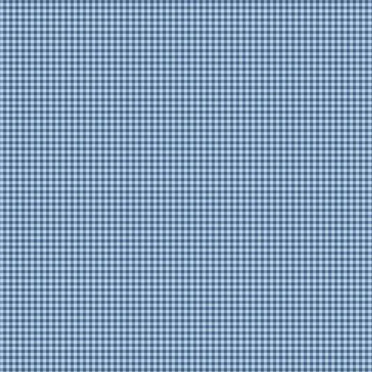 A close-up of a small blue and white gingham check pattern filling the fabric.