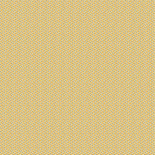 Load image into Gallery viewer, Indigo Cheddar II Collection
