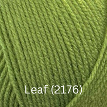 Load image into Gallery viewer, Stylecraft  Special DK - New Shades
