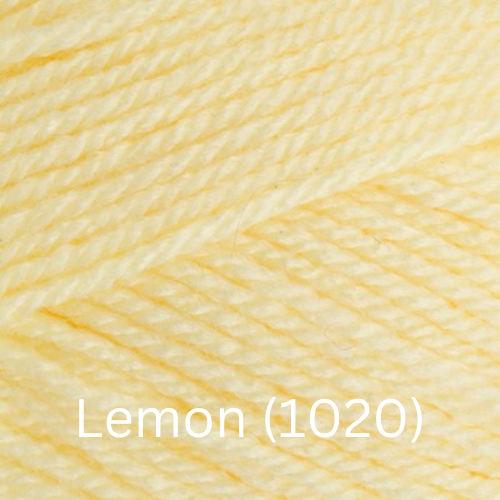 Stylecraft  Special DK