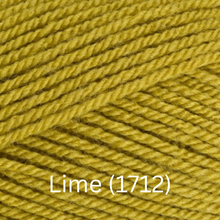 Load image into Gallery viewer, Stylecraft  Special DK
