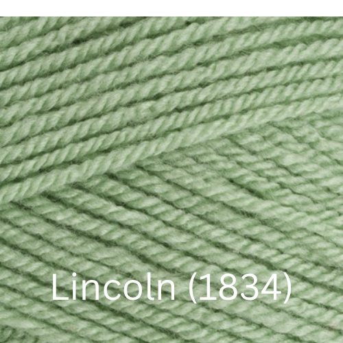 Stylecraft  Special DK