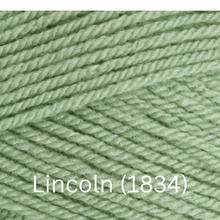 Load image into Gallery viewer, Stylecraft  Special DK
