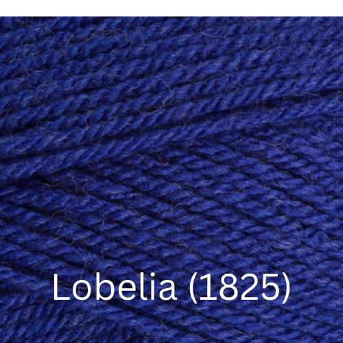 Stylecraft  Special DK