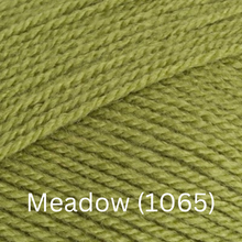 Load image into Gallery viewer, Stylecraft  Special DK
