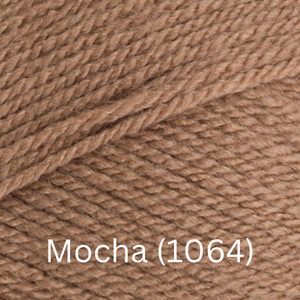 Stylecraft  Special DK