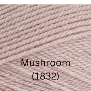 Stylecraft  Special DK