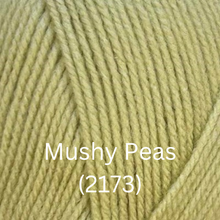 Load image into Gallery viewer, Stylecraft  Special DK - New Shades

