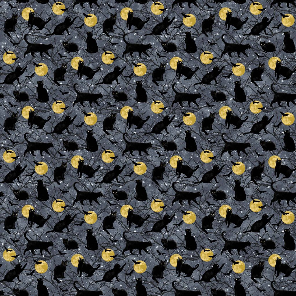 Hocus Pocus Black Cat and Moons