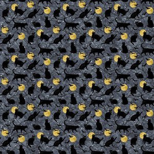 Hocus Pocus Black Cat and Moons