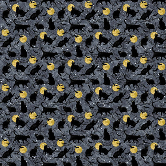Hocus Pocus Black Cat and Moons