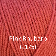 Load image into Gallery viewer, Stylecraft  Special DK - New Shades
