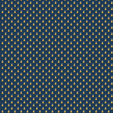 Load image into Gallery viewer, Indigo Cheddar II Collection
