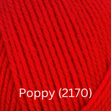 Load image into Gallery viewer, Stylecraft  Special DK - New Shades
