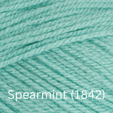 Load image into Gallery viewer, Stylecraft  Special DK
