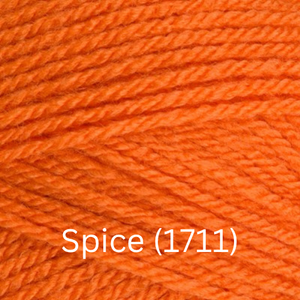 Stylecraft  Special DK