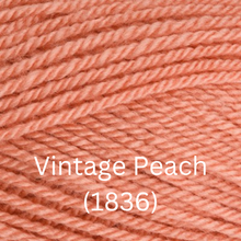 Load image into Gallery viewer, Stylecraft  Special DK
