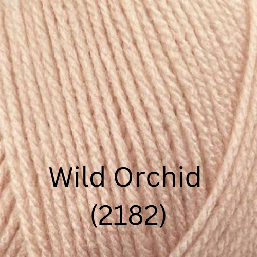 Stylecraft  Special DK - New Shades