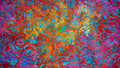 Batik - Autumn Lily pad