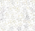Island Batiks - 6/1004 - Plumeria - Rice